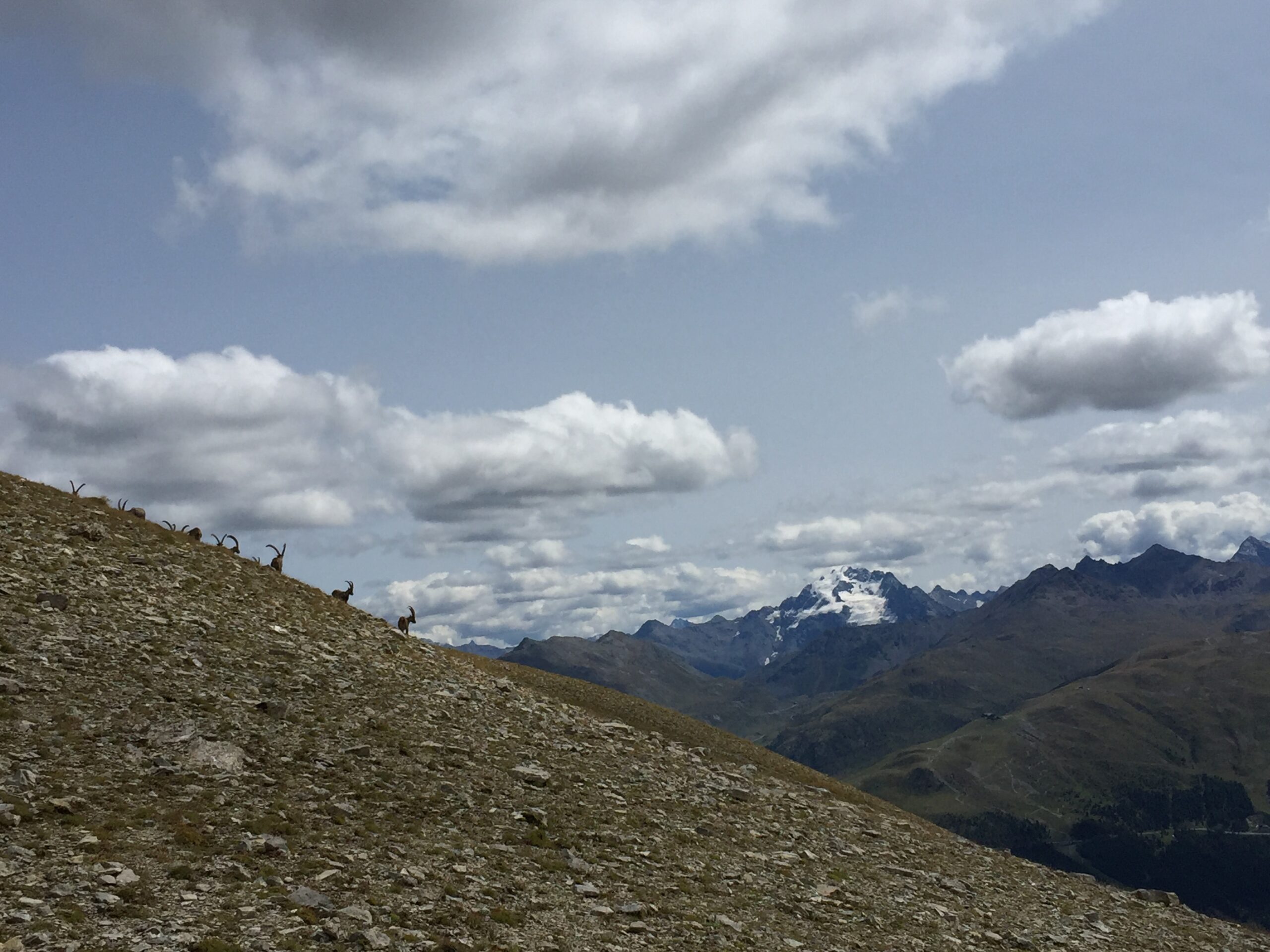 Slowalk - Monte Vago